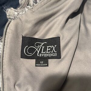 Alex Evenings Silver Dress